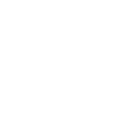 Chickshot icon