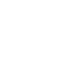 Consumer icon