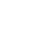 Run & Reload icon