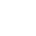 Fist Fight
